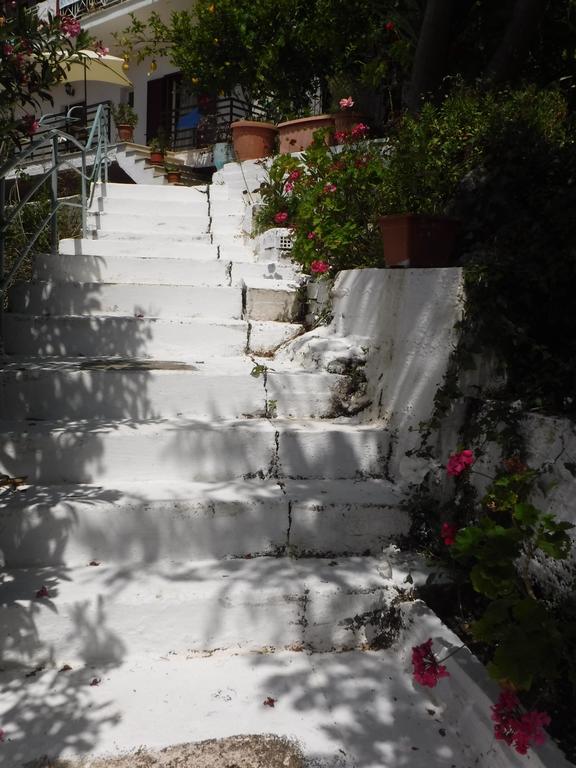 Apartamento Delfini Bay Retreat Vasiliki Exterior foto