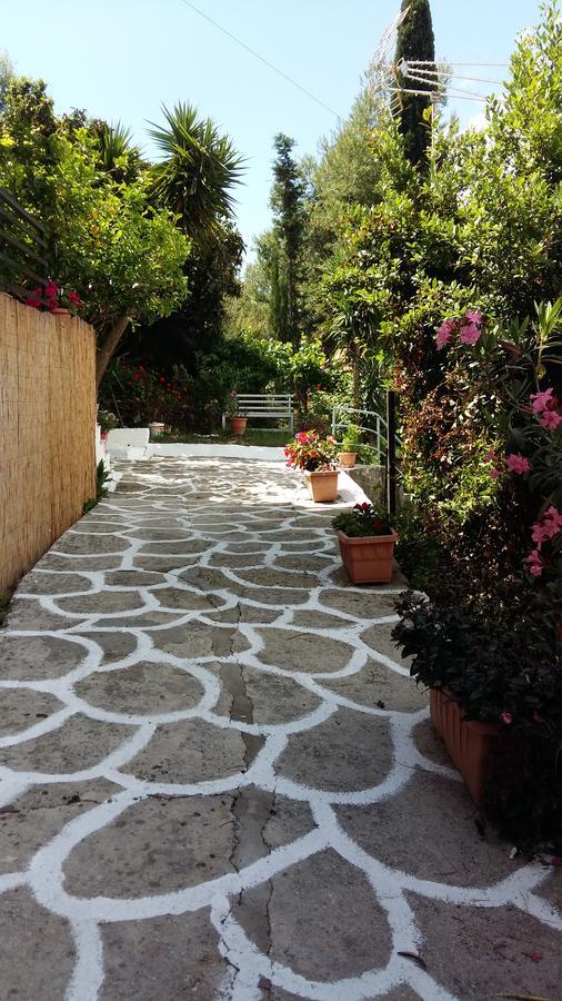 Apartamento Delfini Bay Retreat Vasiliki Exterior foto